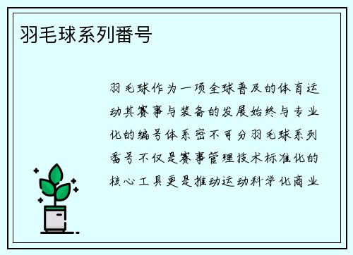 羽毛球系列番号